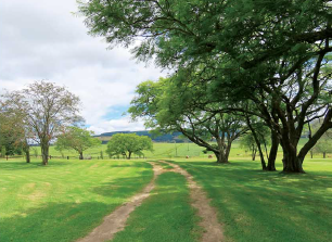 Commercial Property for Sale in Badplaas Mpumalanga
