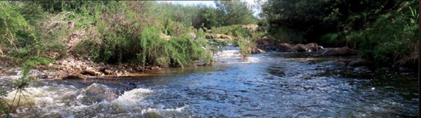 Commercial Property for Sale in Badplaas Mpumalanga