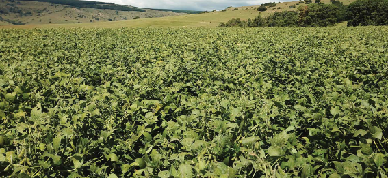 Commercial Property for Sale in Badplaas Mpumalanga