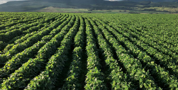 Commercial Property for Sale in Badplaas Mpumalanga