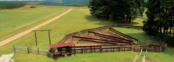 Commercial Property for Sale in Badplaas Mpumalanga