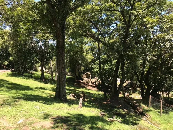 Commercial Property for Sale in White River Mpumalanga