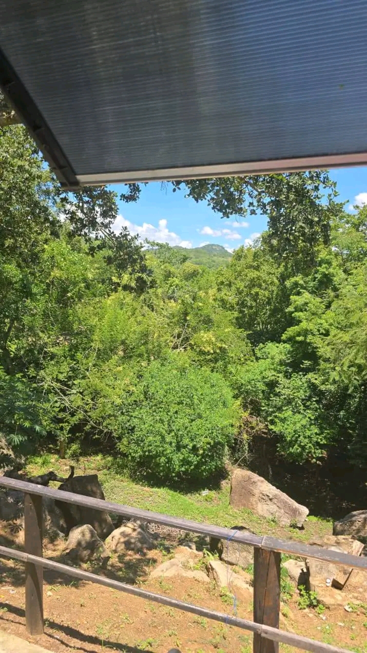 Commercial Property for Sale in White River Mpumalanga
