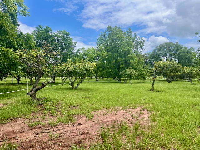 Commercial Property for Sale in The Rest Mpumalanga