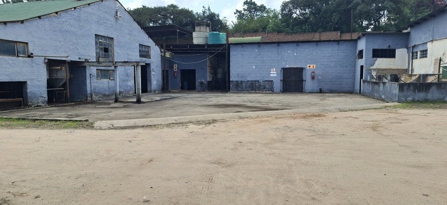 Commercial Property for Sale in White River Mpumalanga