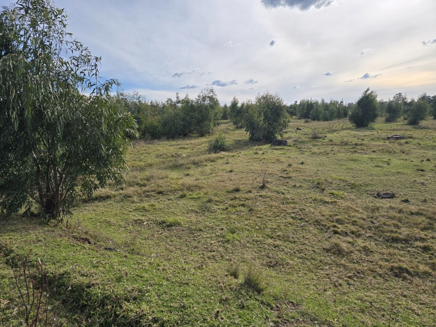 Commercial Property for Sale in Grootvlei Mpumalanga