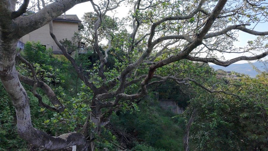 0 Bedroom Property for Sale in Nelspruit Ext 6 Mpumalanga