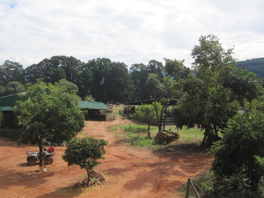 Commercial Property for Sale in Nelspruit Rural Mpumalanga
