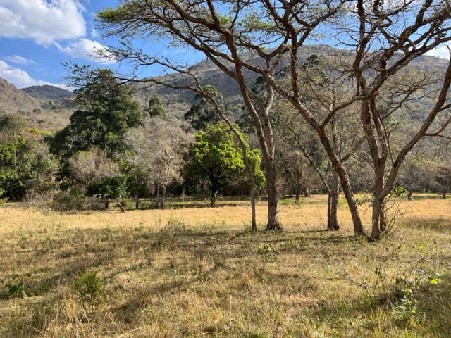 Commercial Property for Sale in Nelspruit Rural Mpumalanga