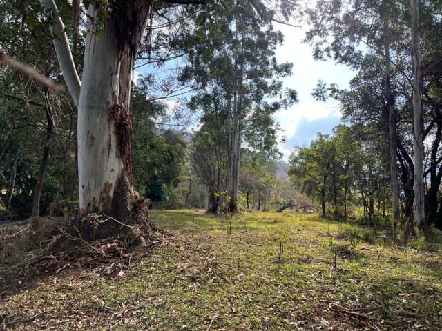 Commercial Property for Sale in Nelspruit Rural Mpumalanga