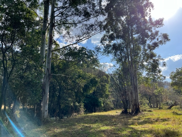 Commercial Property for Sale in Nelspruit Rural Mpumalanga