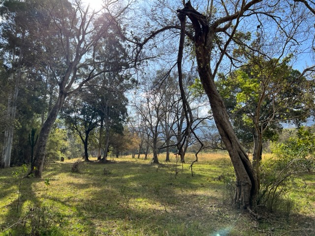 Commercial Property for Sale in Nelspruit Rural Mpumalanga