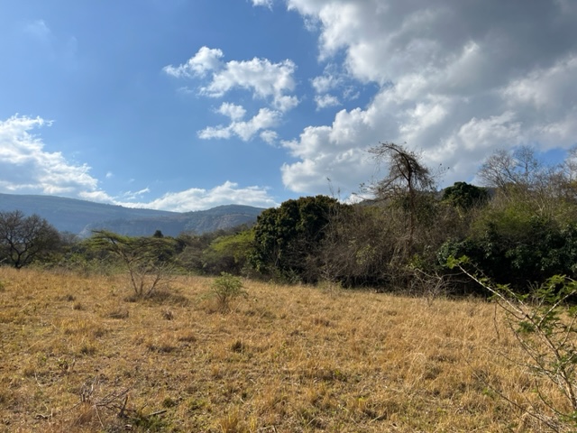 Commercial Property for Sale in Nelspruit Rural Mpumalanga