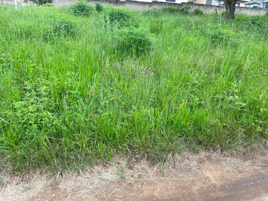 0 Bedroom Property for Sale in Drum Rock Mpumalanga
