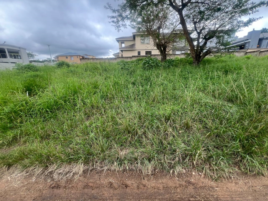 0 Bedroom Property for Sale in Drum Rock Mpumalanga