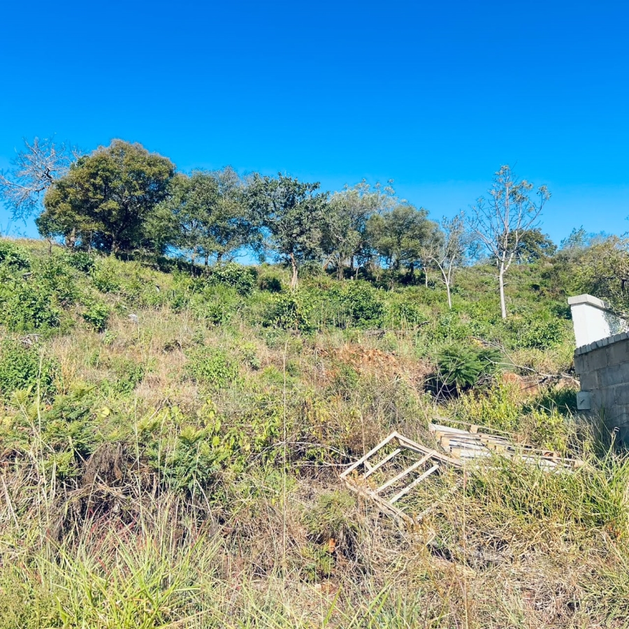 0 Bedroom Property for Sale in Drum Rock Mpumalanga