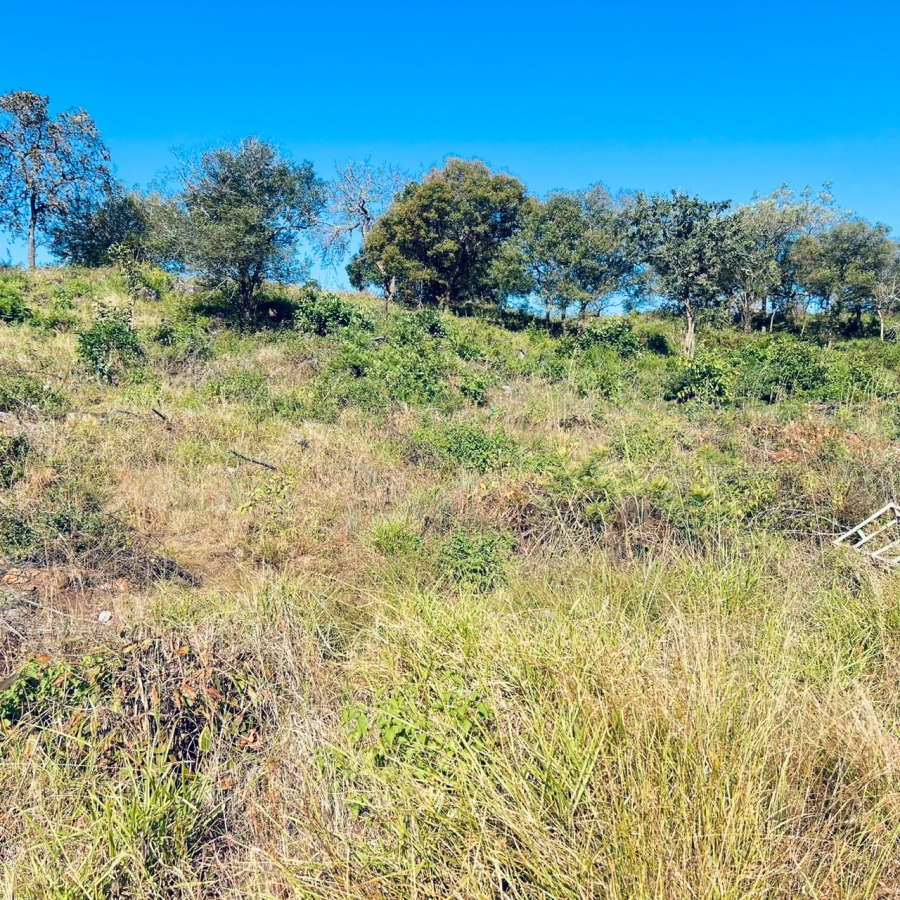 0 Bedroom Property for Sale in Drum Rock Mpumalanga