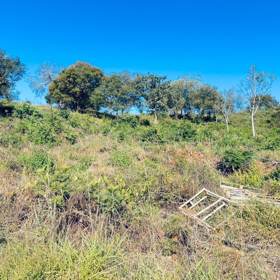 0 Bedroom Property for Sale in Drum Rock Mpumalanga