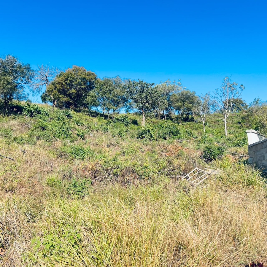 0 Bedroom Property for Sale in Drum Rock Mpumalanga