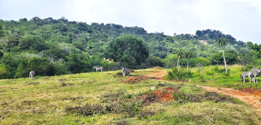 7 Bedroom Property for Sale in Nelspruit Rural Mpumalanga