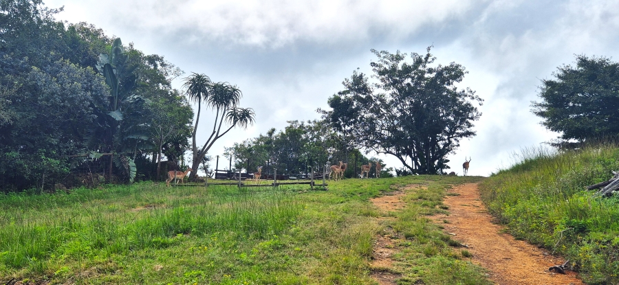 7 Bedroom Property for Sale in Nelspruit Rural Mpumalanga