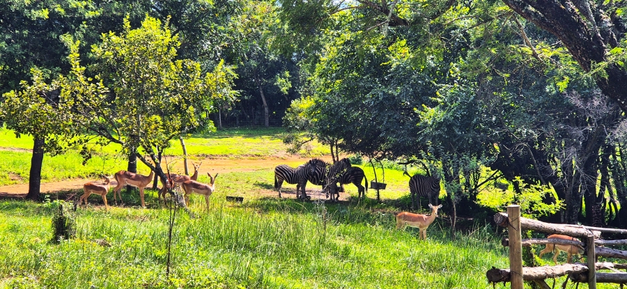7 Bedroom Property for Sale in Nelspruit Rural Mpumalanga
