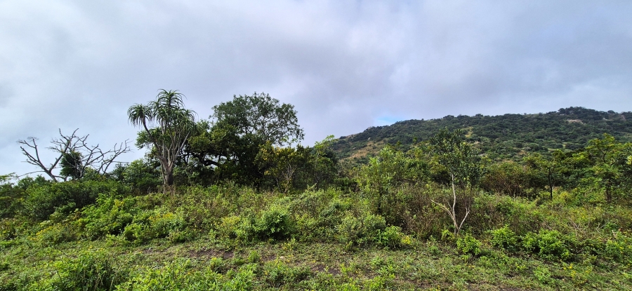 7 Bedroom Property for Sale in Nelspruit Rural Mpumalanga