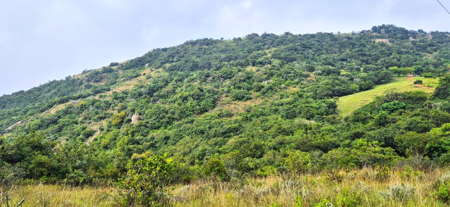 7 Bedroom Property for Sale in Nelspruit Rural Mpumalanga