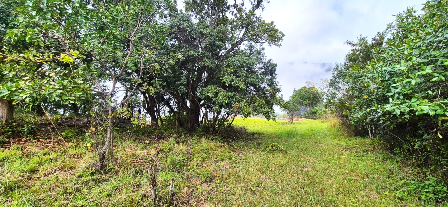 7 Bedroom Property for Sale in Nelspruit Rural Mpumalanga