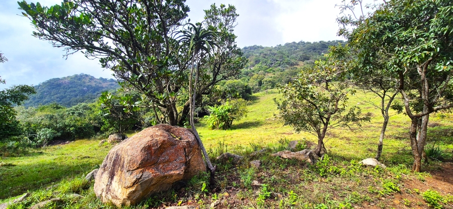 7 Bedroom Property for Sale in Nelspruit Rural Mpumalanga