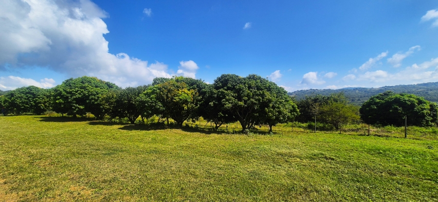 7 Bedroom Property for Sale in Nelspruit Rural Mpumalanga