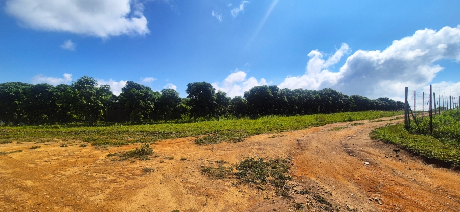 7 Bedroom Property for Sale in Nelspruit Rural Mpumalanga
