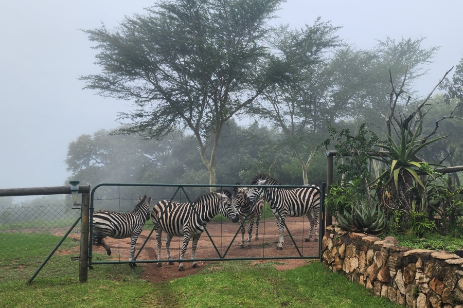 7 Bedroom Property for Sale in Nelspruit Rural Mpumalanga