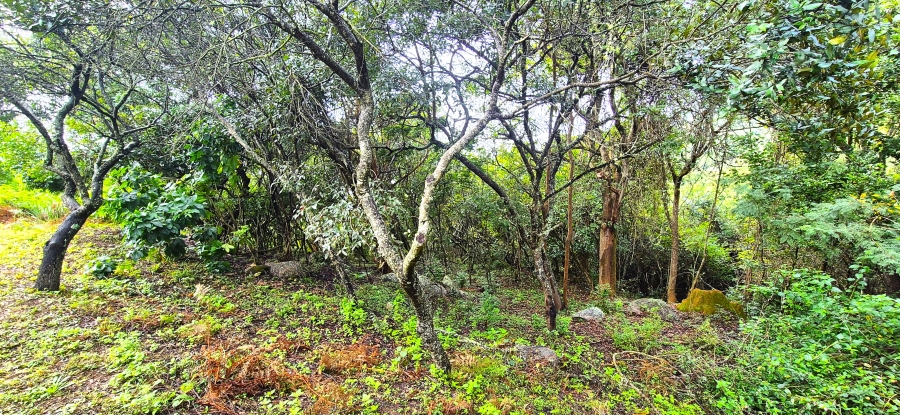 7 Bedroom Property for Sale in Nelspruit Rural Mpumalanga