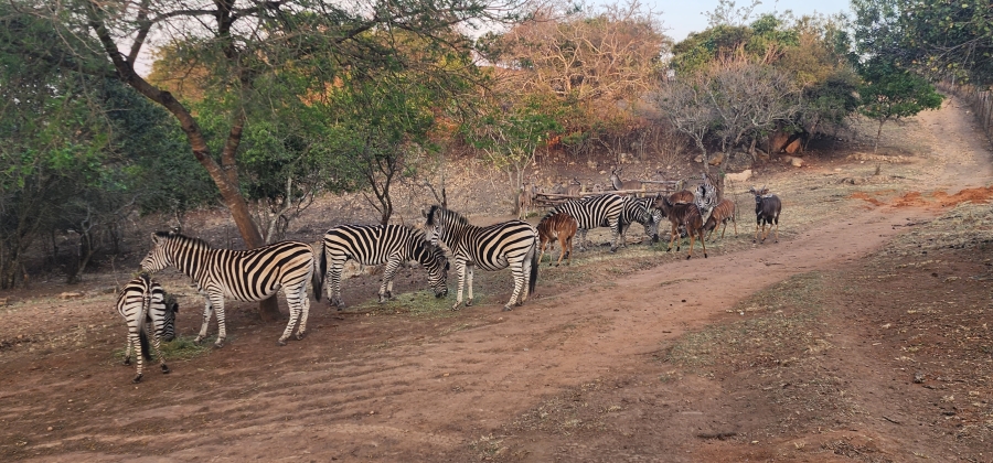 7 Bedroom Property for Sale in Nelspruit Rural Mpumalanga