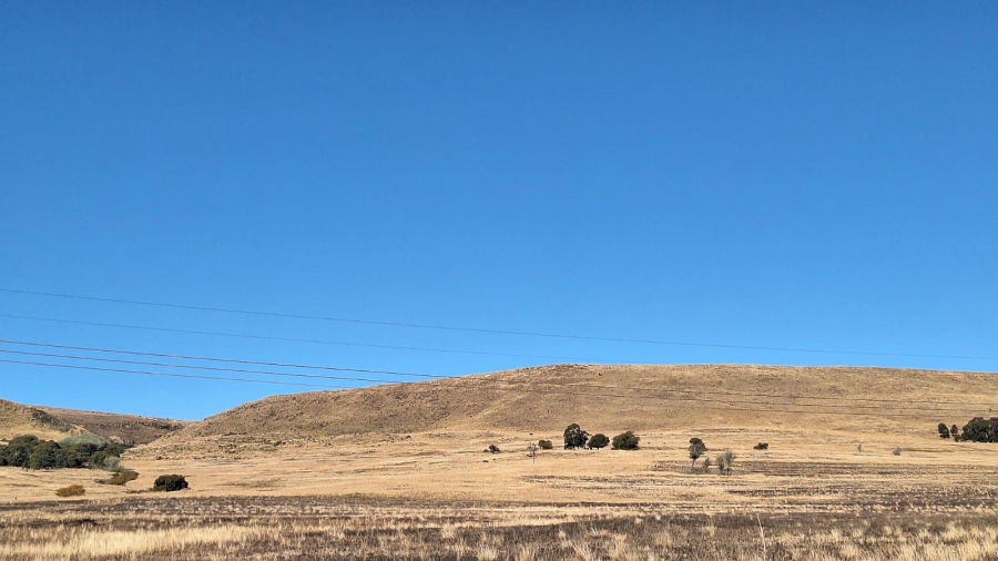 0 Bedroom Property for Sale in Amersfoort Rural Mpumalanga