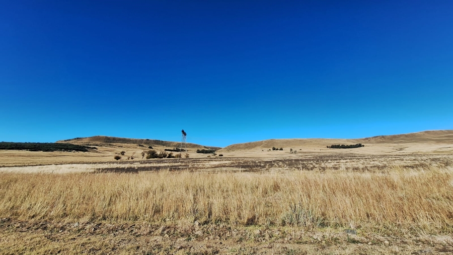 0 Bedroom Property for Sale in Amersfoort Rural Mpumalanga