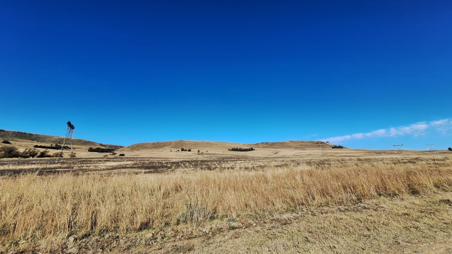 0 Bedroom Property for Sale in Amersfoort Rural Mpumalanga