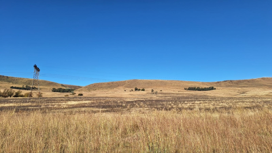 0 Bedroom Property for Sale in Amersfoort Rural Mpumalanga