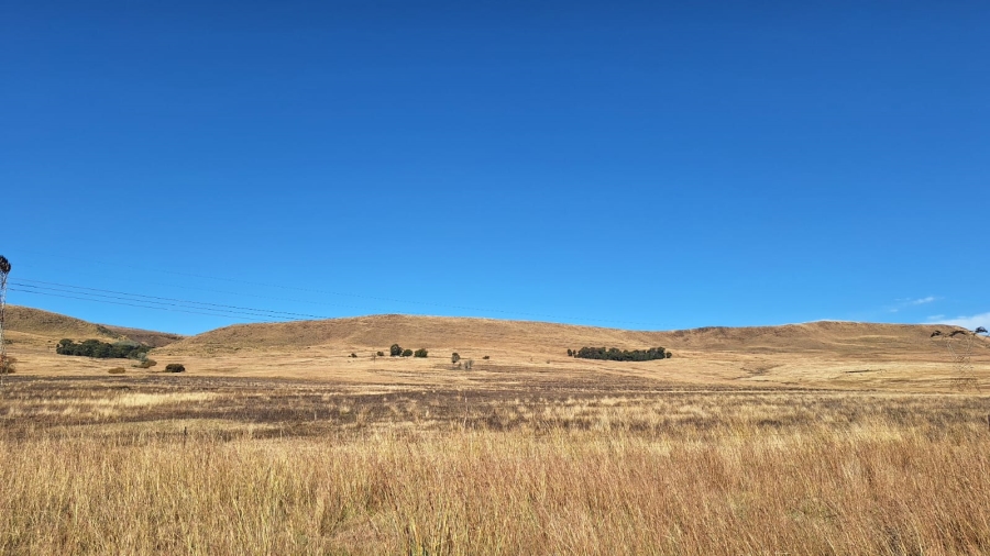 0 Bedroom Property for Sale in Amersfoort Rural Mpumalanga