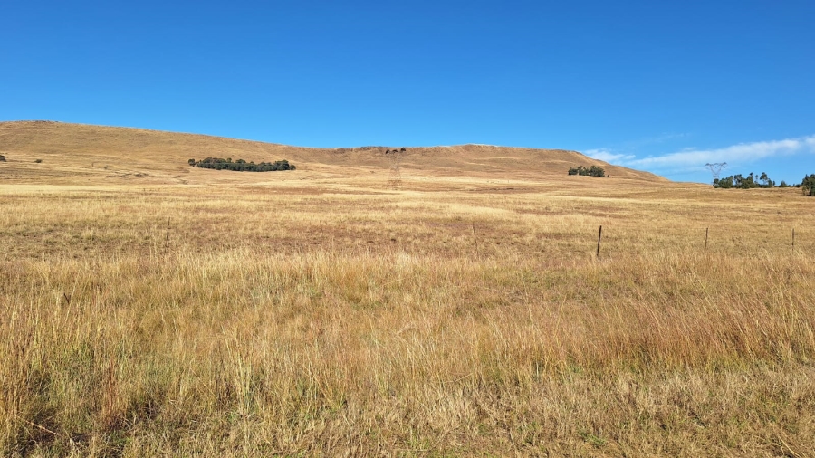 0 Bedroom Property for Sale in Amersfoort Rural Mpumalanga