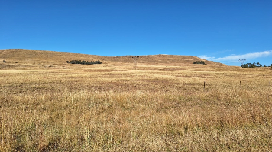 0 Bedroom Property for Sale in Amersfoort Rural Mpumalanga