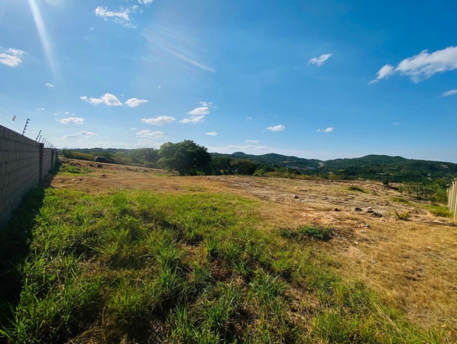 0 Bedroom Property for Sale in Drum Rock Mpumalanga