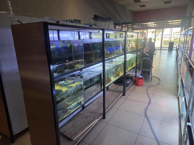 To Let Commercial Property for Rent in Aerorand Mpumalanga