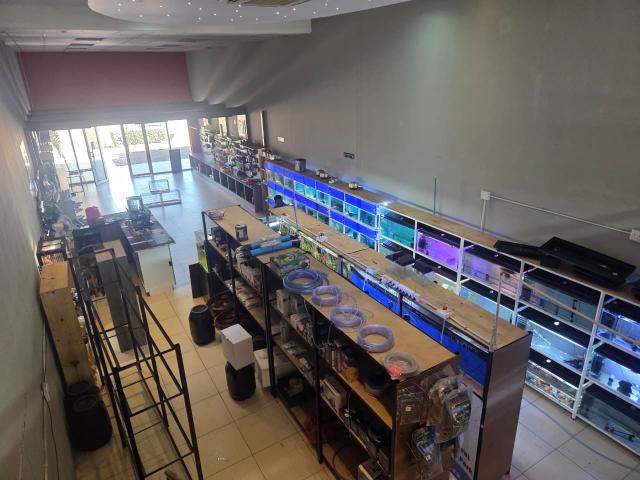 To Let Commercial Property for Rent in Aerorand Mpumalanga