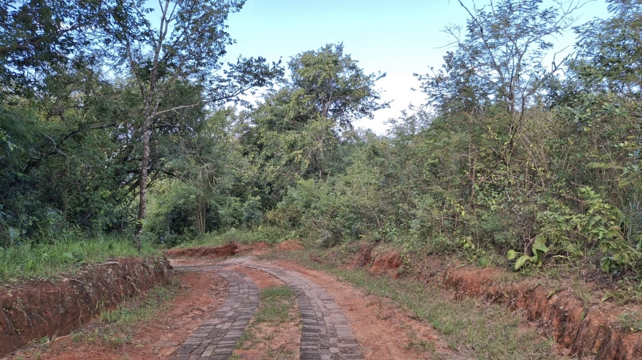 0 Bedroom Property for Sale in Hilltop AH Mpumalanga