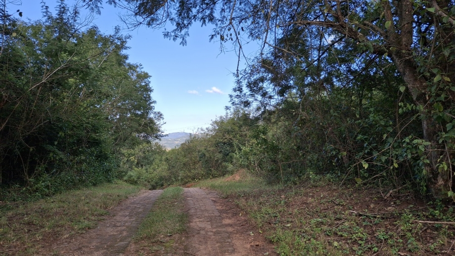 0 Bedroom Property for Sale in Hilltop AH Mpumalanga
