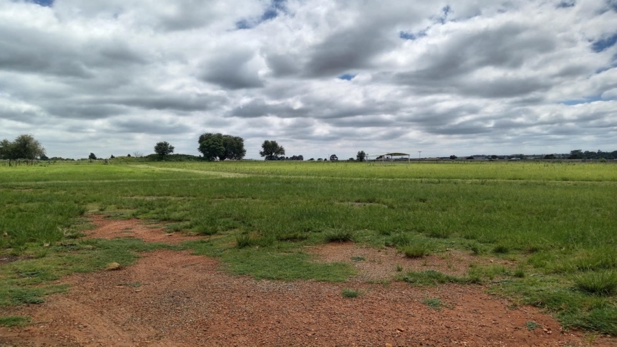 To Let Commercial Property for Rent in Modder East Orchards A H Mpumalanga