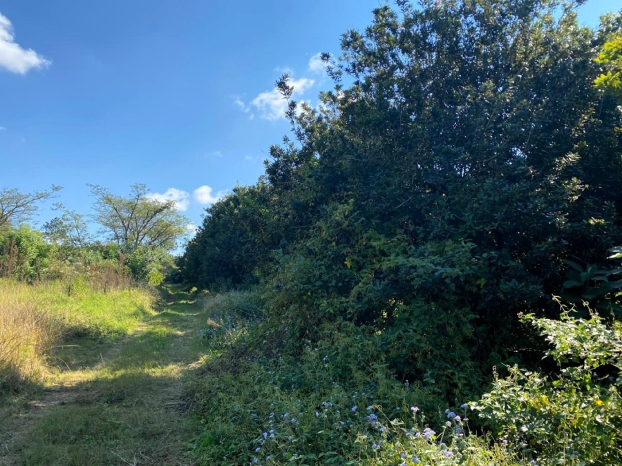4 Bedroom Property for Sale in White River Mpumalanga
