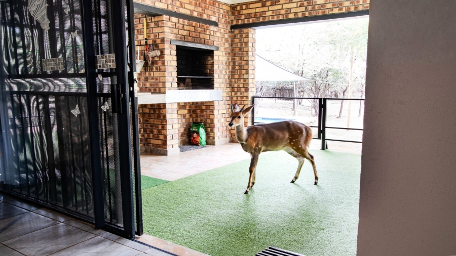 3 Bedroom Property for Sale in Marloth Park Mpumalanga